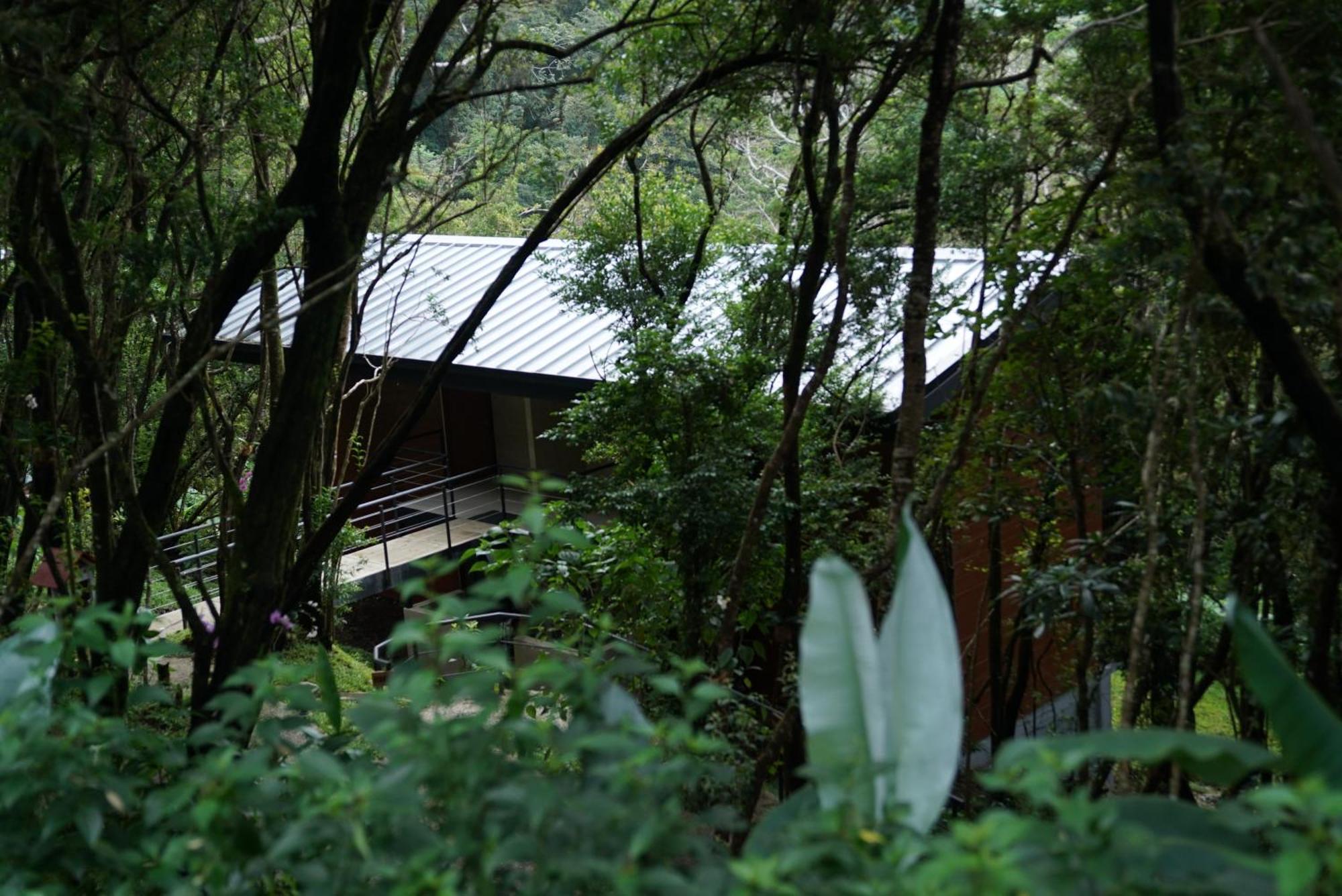 Koora Monteverde A Cloud Forest Hotel By Sandglass 外观 照片